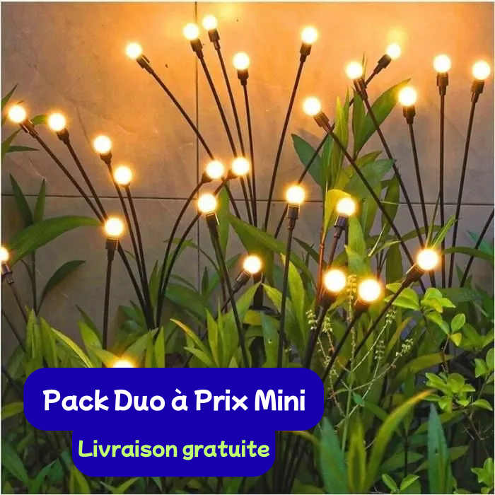 Pack de 2 Lampes Solaires Extérieures